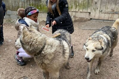 Agrandir l'image 4 sur 6, fenêtre modale