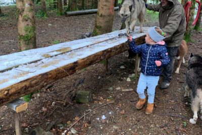 Agrandir l'image 1 sur 6, fenêtre modale