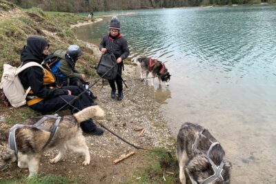 Agrandir l'image 6 sur 6, fenêtre modale