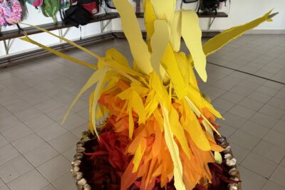 Agrandir l'image 6 sur 63, fenêtre modale