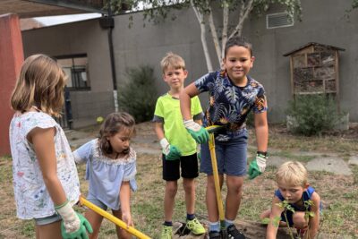 Agrandir l'image 47 sur 63, fenêtre modale