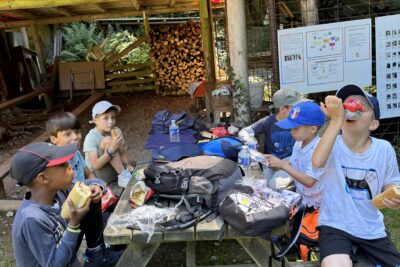 Agrandir l'image 60 sur 63, fenêtre modale